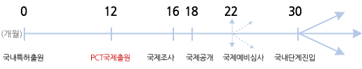 PCT에 의한 출원방법(PCT System)